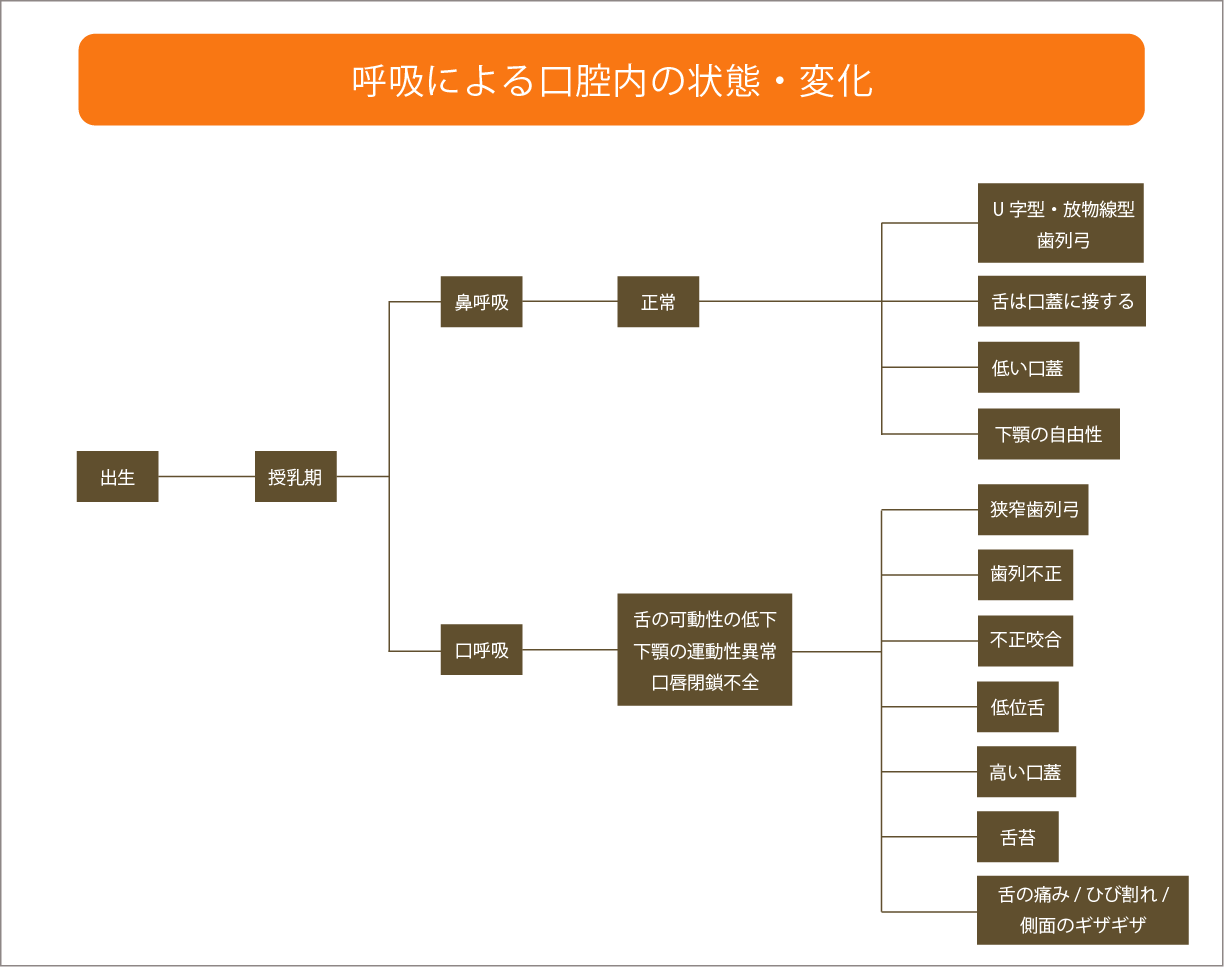 呼吸による口腔内の状態・変化